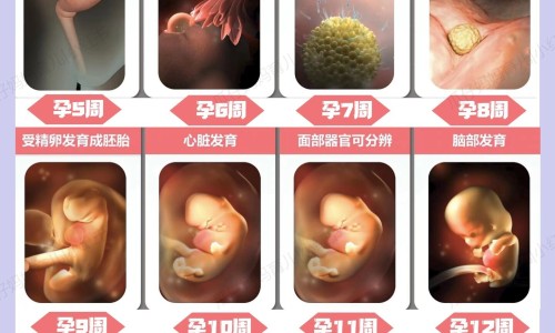 怀孕内喝啤酒有害吗?